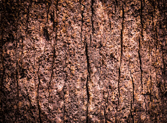 Old wood cracked texture, Seamless tree bark texture, Endless wooden background for web page fill or graphic design.
