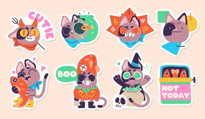 Illustration of a funny cat in diferent situations. Set of stickers, badges, patches. Vector