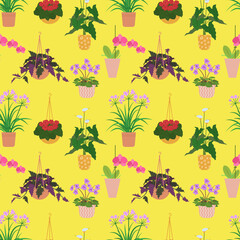 Seamless pattern with potted tropical house plants in colorful flower pots. On a yellow background. Vector illustration.