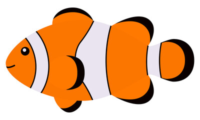 カクレクマノミ　熱帯魚