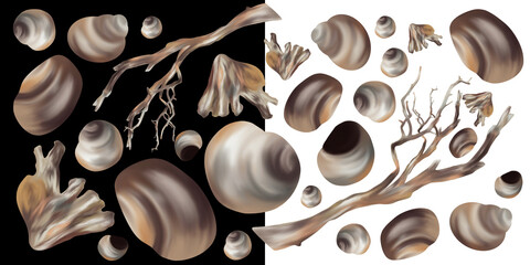 Banner with seashells and snags. Marine elements on a black and white background.