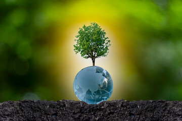 Renewable energy concept Earth Day or environment protection Hands protect forests that grow on the ground and help save the world.