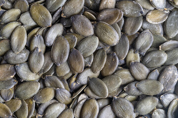 Macro background texture of green pumpkin seeds