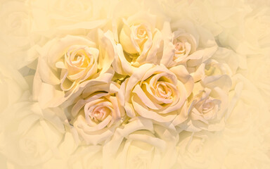 pale peach colored fake rose flowers top view closeup, colorful pattern background