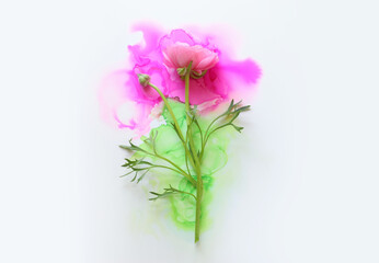 Creative image of Buttercup flower on artistic ink background. Top view with copy space