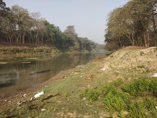 Landscape view inside a forest near Raiganj, West Bengal, India of river, trees, grass, lands with sunlight.