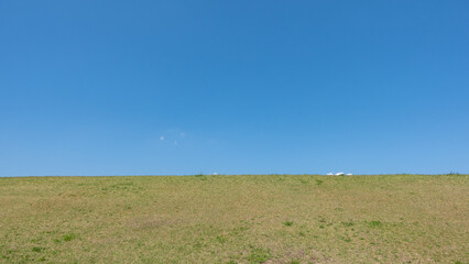 Obraz premium 春の丘の風景