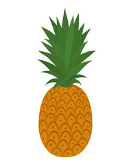 Summer fruit Pineapple flat vector illustration