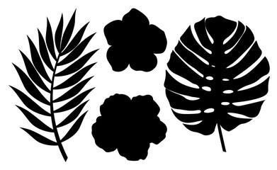 Tropical leaves  flowers silhouettes monstera palm graphics vector illustration