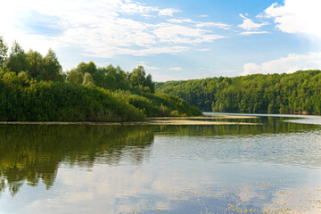 Obraz premium summer landscape with a lake and forest