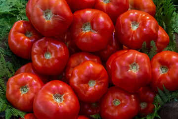 A lot of fresh organic red tomatoes at the local farmers market, healthy eco product, wide vertical banner background wallpaper. Selective focus at tomatoes