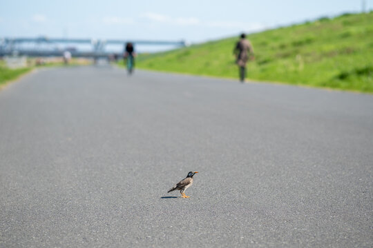 80 Best 立ち尽くす Images Stock Photos Vectors Adobe Stock