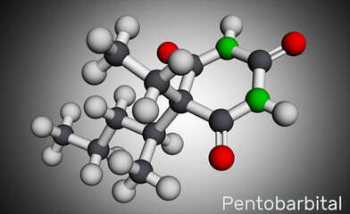 Pentobarbital, pentobarbitone molecule. It is sedative, hypnotic agent. Is used for the treatment of short term insomnia. Molecular model. 3D rendering
