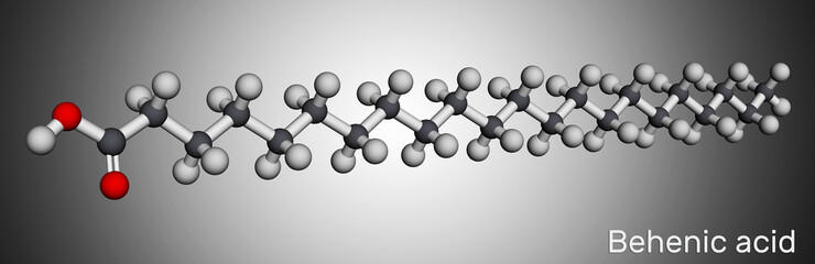 Behenic acid, molecule. It is docosanoic acid, straight-chain, long-chain saturated fatty acid. Molecular model. 3D rendering