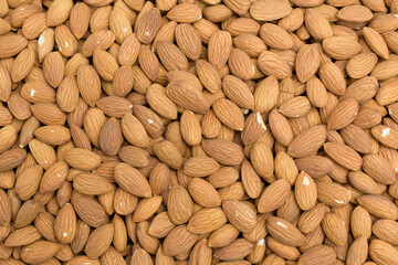 Almond tree seeds - Almond nuts for the backdrop.