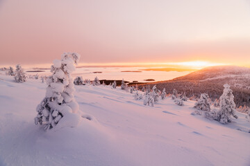 China's popular travel destination, Xinjiang, natural scenery in winter. Snow-covered forest, extremely cold environment.