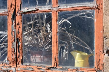 Plante desséchée au travers d'un vieille fenêtre dans un bourg en Aveyron © annick