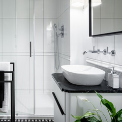 Black and white bathroom with shower