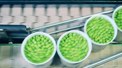 Top view of a conveyor with green peas packed into tin cans. Processing of agricultural products, food factory conveyor.