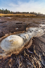 Obraz premium Nature reserve Soos, Western Bohemia, Czech Republic