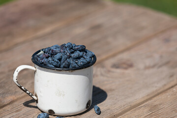 Blue honeysuckle in metal mug on wood background. Fresh honeysuckle berries harvest from berry farm.