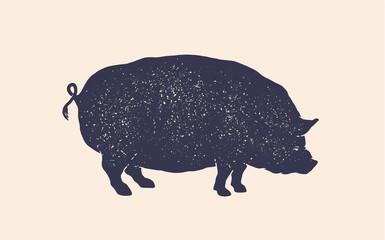 Pork, pig. Vintage retro print, silhouette pig