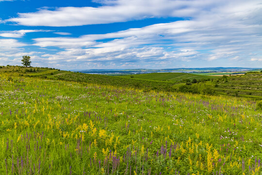 Palava landscape near Dolni Dunajovice, Southern Moravia, Czech Republic © Richard Semik