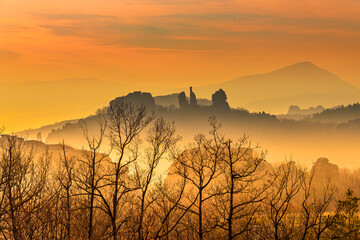Warm Hazy sunrise in misty forest /beautiful silhouettes of threes 