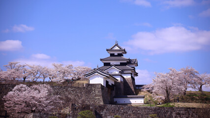 Fototapeta premium 白河市 小峰城跡 三重櫓（城山公園）