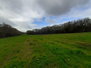 Panorama de un verde prado en los primeros días de primavera en el rural de Galicia