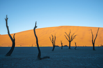 Sossusvlei, Namibia, a psychedelic and surreal landscape, this is the most photographed place in sub-Saharan Africa.