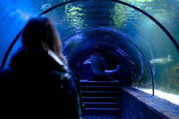 Woman in the aquarium. Tourist on an excursion in an underwater tunnel with fish.