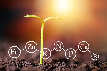 Fertilizer.