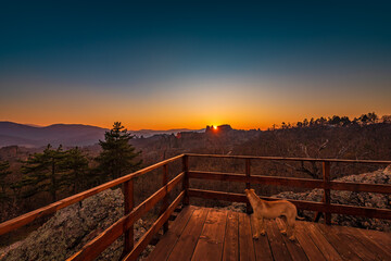 A dog watching the sunset over the mountains 