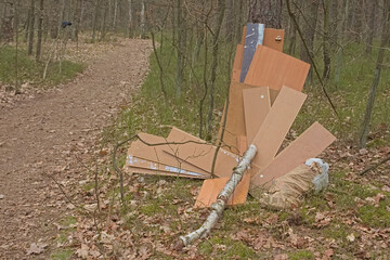 Rubbish in a forest - obrazy, fototapety, plakaty
