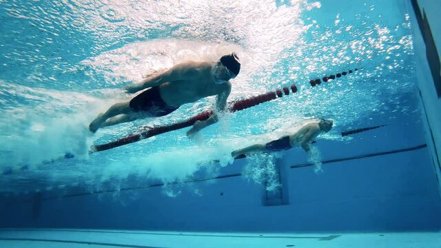 Swimmers perform breaststrokes and dolphin kicks underwater. Professional swimmers competition concept.