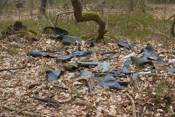 Rubbish in a forest - obrazy, fototapety, plakaty