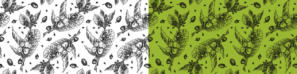 Vintage engraved coffee branch pattern. Coffee package seamless background for coffee shop banner template with vector beans drawing in engraving style. Coffee roasting banner. Organic brand.