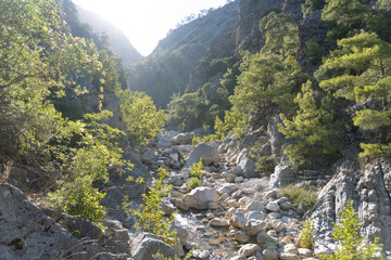Koprulu Canyon without water. Canyon in a National Park. Rocks and trees in shining day.