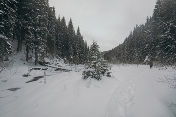 A man riding skis down a snow covered slope