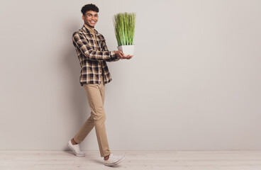 Full length body size photo of guy keeping green plant decoration for home smiling isolated grey...
