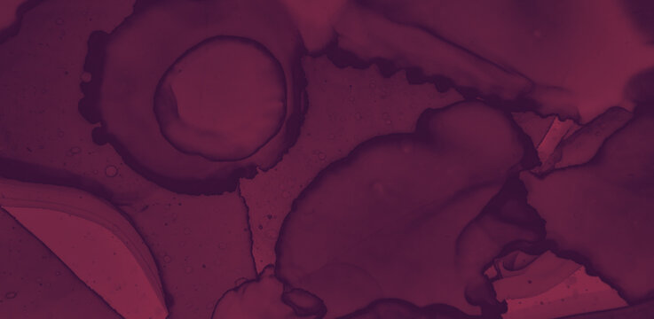 Red Wine Splash. Watercolour Winery Template. Abstract Alcohol Banner. Bright Winery Texture. Color Wine Splash. Watercolor Maroon Texture. Dark Winery Template. Red Wine Splash.