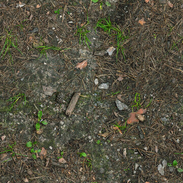 Seamless Forest Gravel Ground Texture