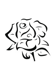 Beautiful flower. Conceptual design. Stylized floral symbol. Vector illustration, stencil.