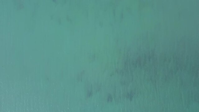 Flying over the calm surface of the Black Sea.