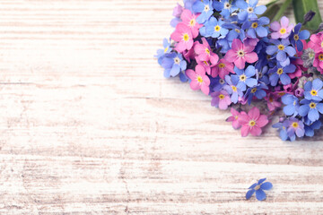Beautiful blue and pink Forget-me-not flowers on white wooden table, above view. Space for text