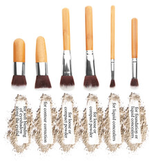 Set of professional cosmetic brushes on white background