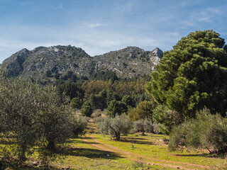 Fototapeta na wymiar Landscape of Sierra Blanca in Marbella, Costa del Sol Spain. Natural landscape in Andalusia