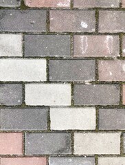 Colorful Bricks Background pathway in the city Line between bricks