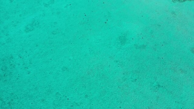 Palmeras, vegetaci&oacute;n y aguas turquesas en localidad Para&iacute;so de Rep&uacute;blica Dominicana